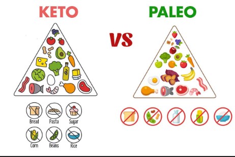 How Does the Paleo Diet Affect Immune System Health?