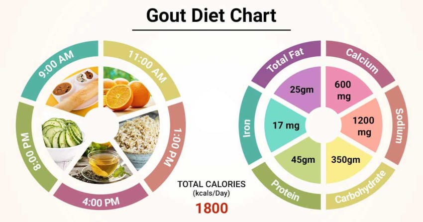 Can the Paleo Diet help with managing symptoms of gout