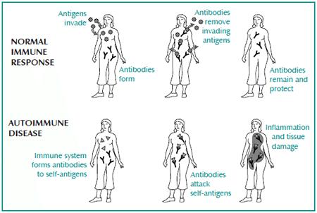 What are some Paleo Diet options for people with nightshade allergies