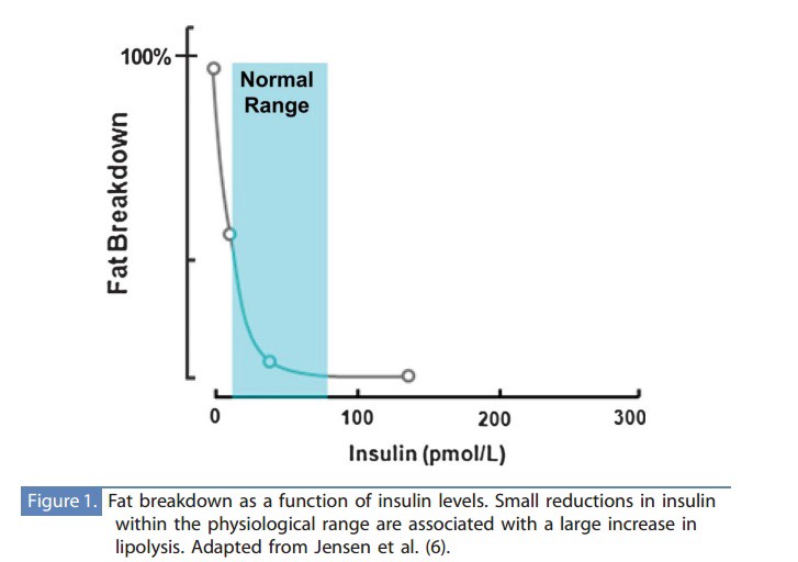 Intermittent fasting and blood pressure