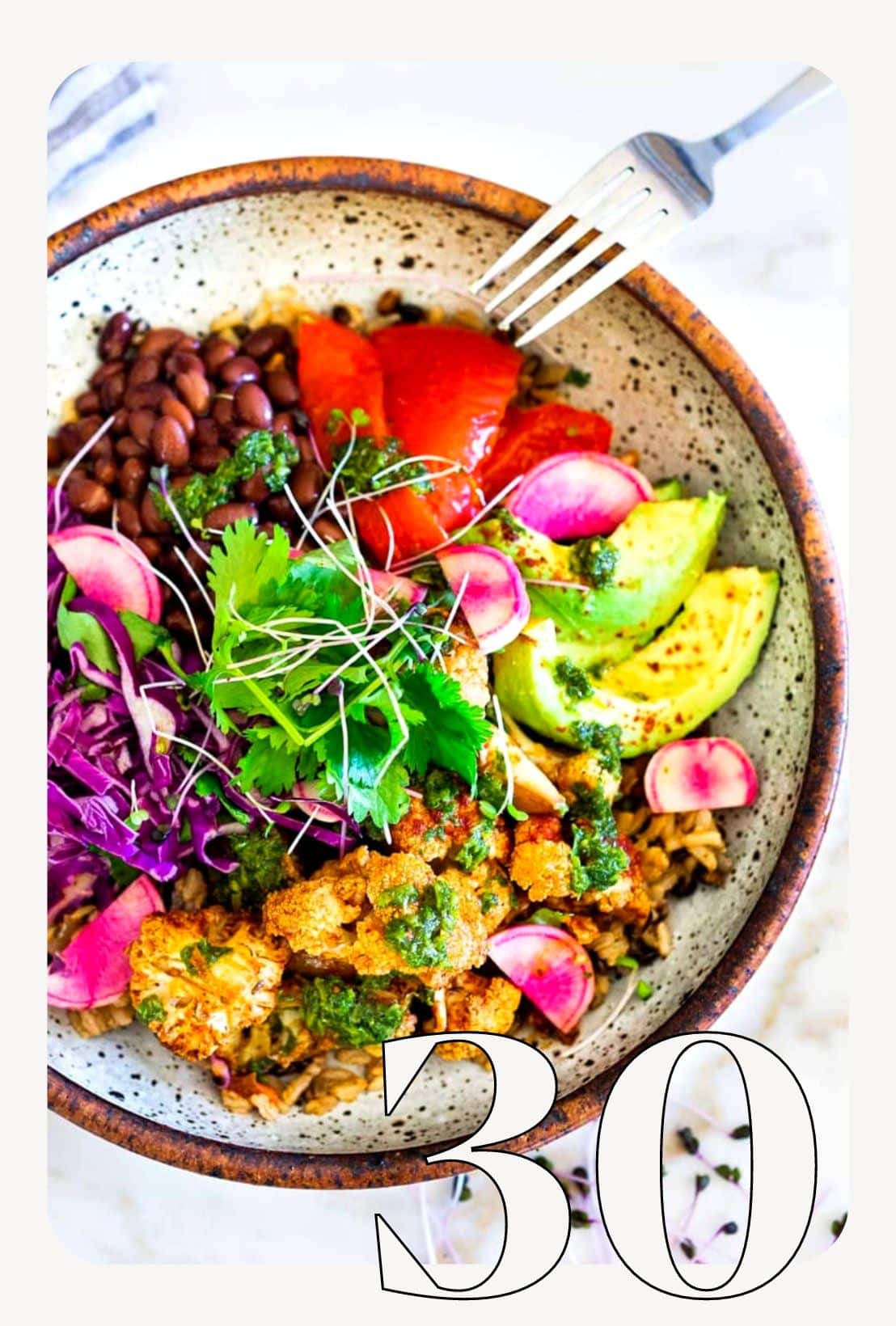 Plant Based Recipe Cookbook 2.0 - Does it work? Is Good? Plant Based Recipe Cookbook 2.0 Review