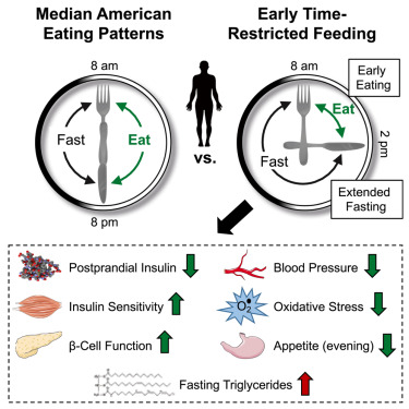 Intermittent fasting and meal timing for weight loss