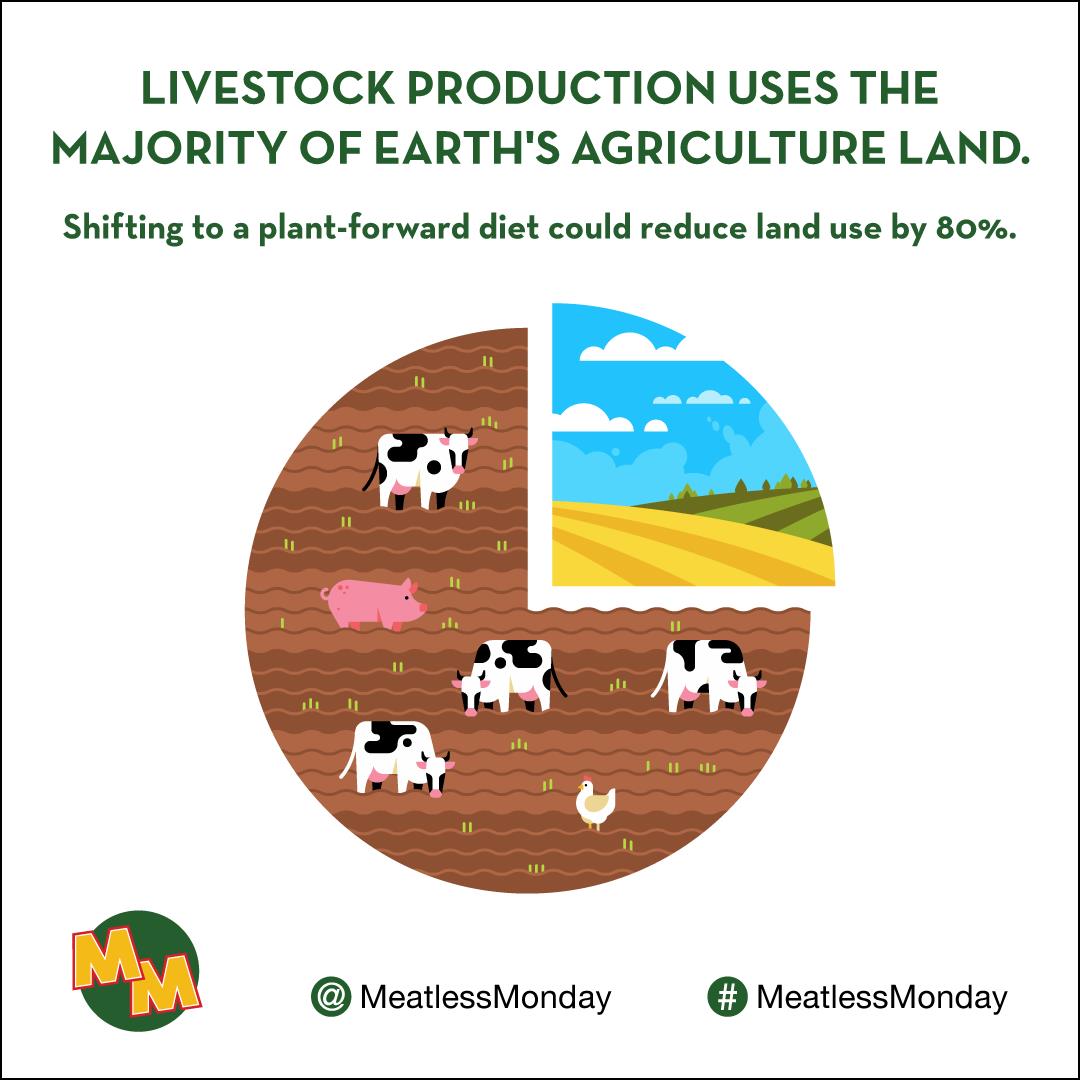 Environmental impact of plantbased diets