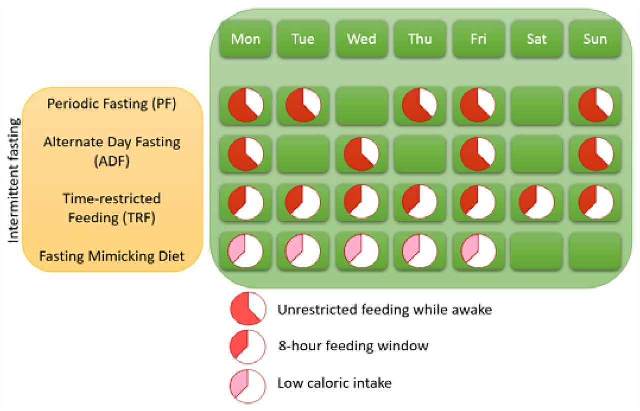 Intermittent Fasting | Handle Your Health Problems The Natural Way - Sadhguru