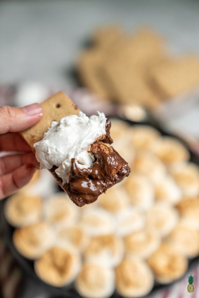 s'mores dip on a graham cracker.