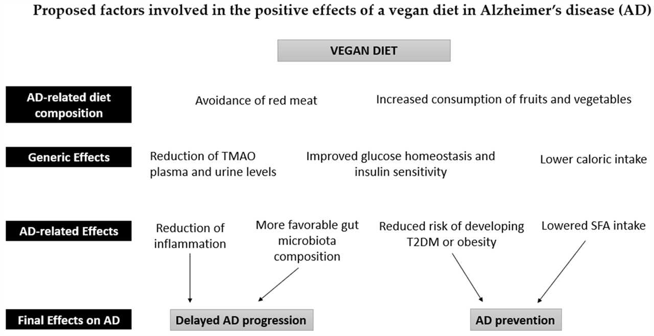 Plantbased diets and their potential impact on reducing Alzheimers risk