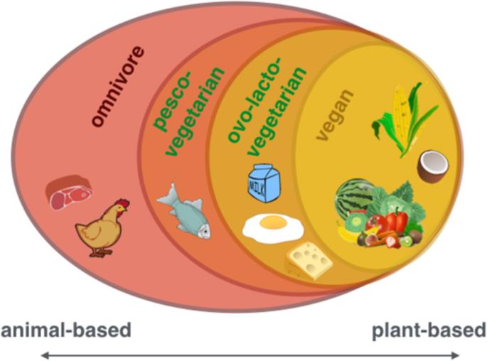 Plantbased diet on gutbrain axis and improving cognitive function