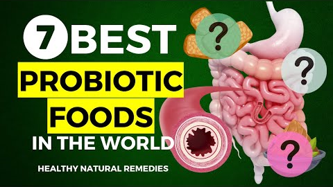 7 Best Probiotic Foods In The World