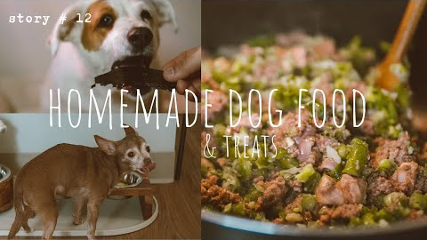 🐾Healthy One-Pot Homemade Dog Food and Treats + Everything We Feed Our Pups | Holistic Vet Approved