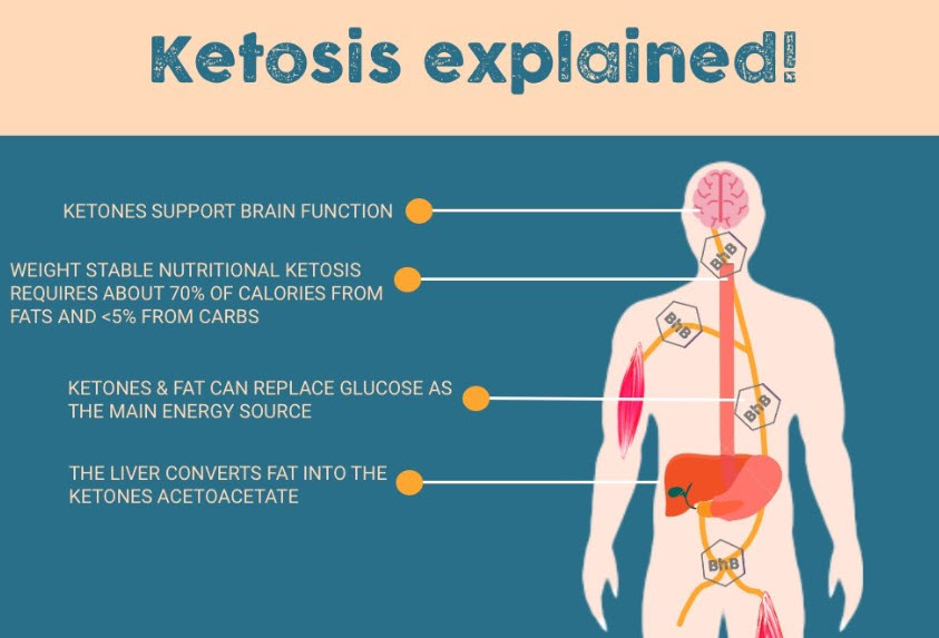 Intermittent Fasting and the Role of Ketosis