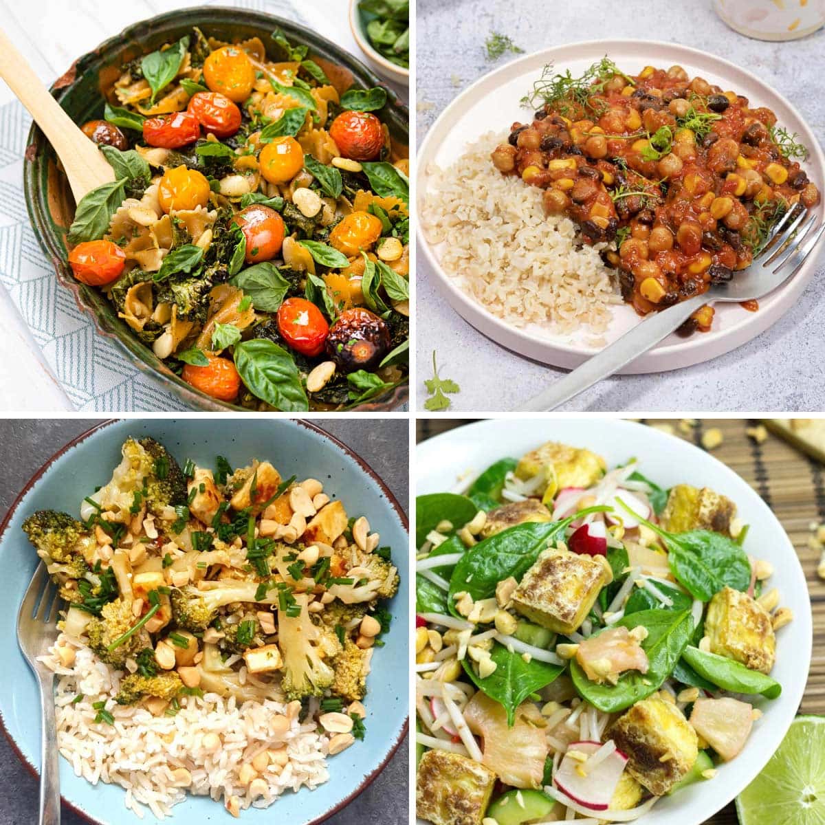 Budget Friendly Vegan Dinner Recipes