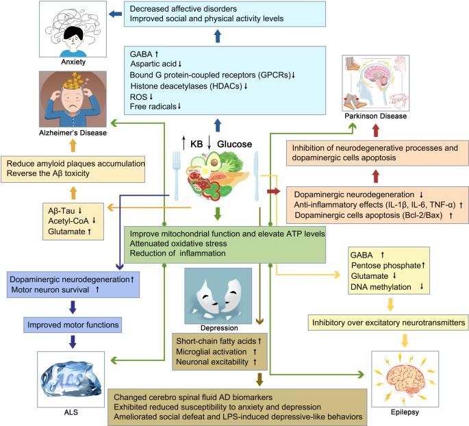 Longterm sustainability of ketogenic diet as a nutritional intervention