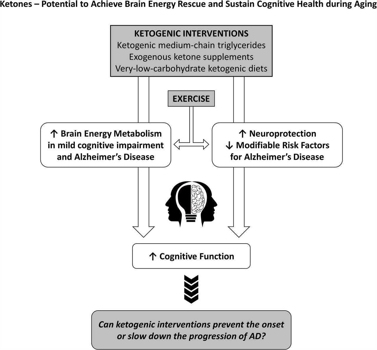 Intermittent fasting and cognitive function how it can improve brain health