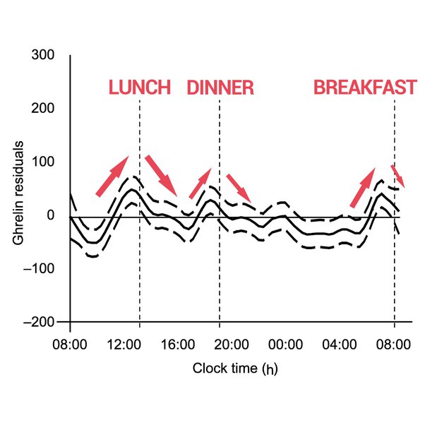 Intermittent fasting and ghrelin