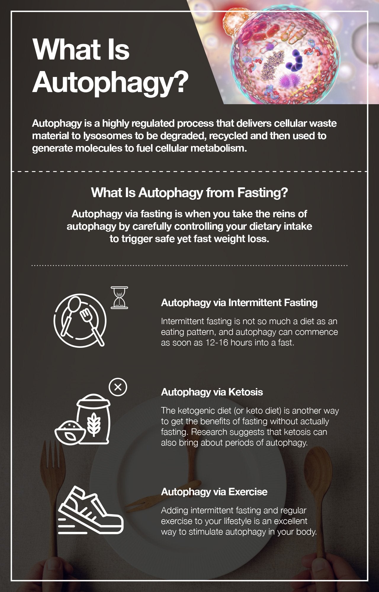 Intermittent fasting and autophagy