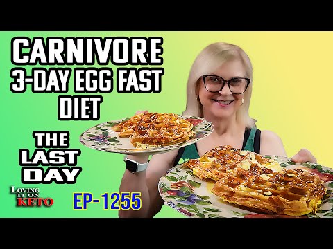 CARNIVORE 3-DAY EGG FAST DIET - THE LAST DAY #eggfast, carnivore, $#weightloss,