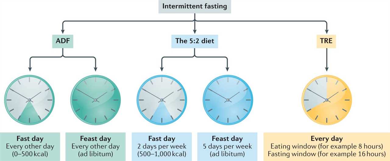 Intermittent Fasting vs. Calorie Counting