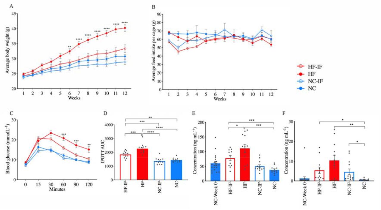 Intermittent fasting and the role of glucagon