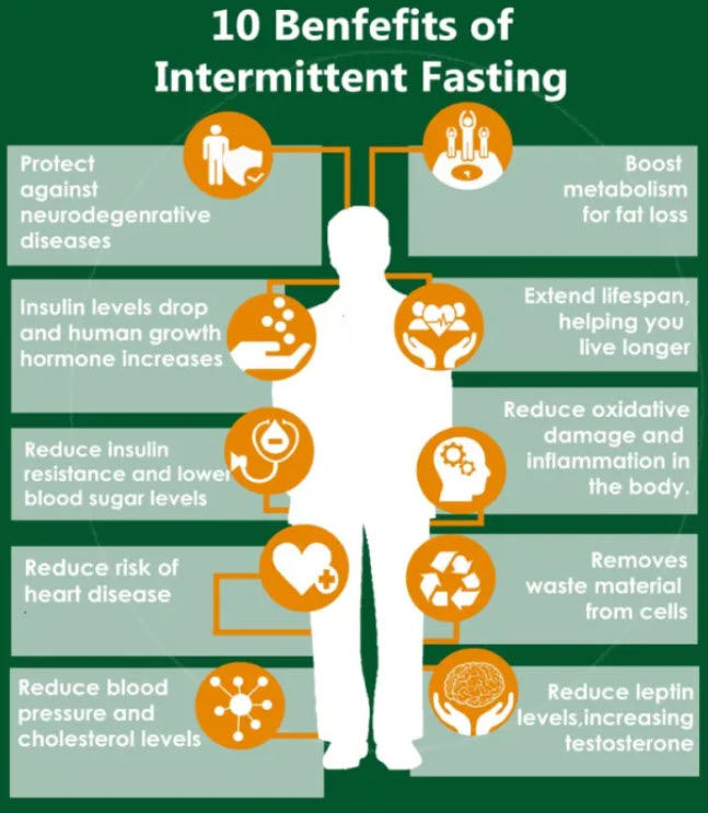 Intermittent Fasting and Heart Rate Variability