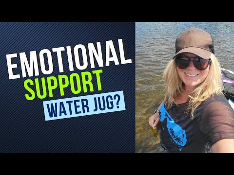 Week 231 Weight Loss Journey Update - Delicious Goulash Recipe - Emotional Support Water Jug?!