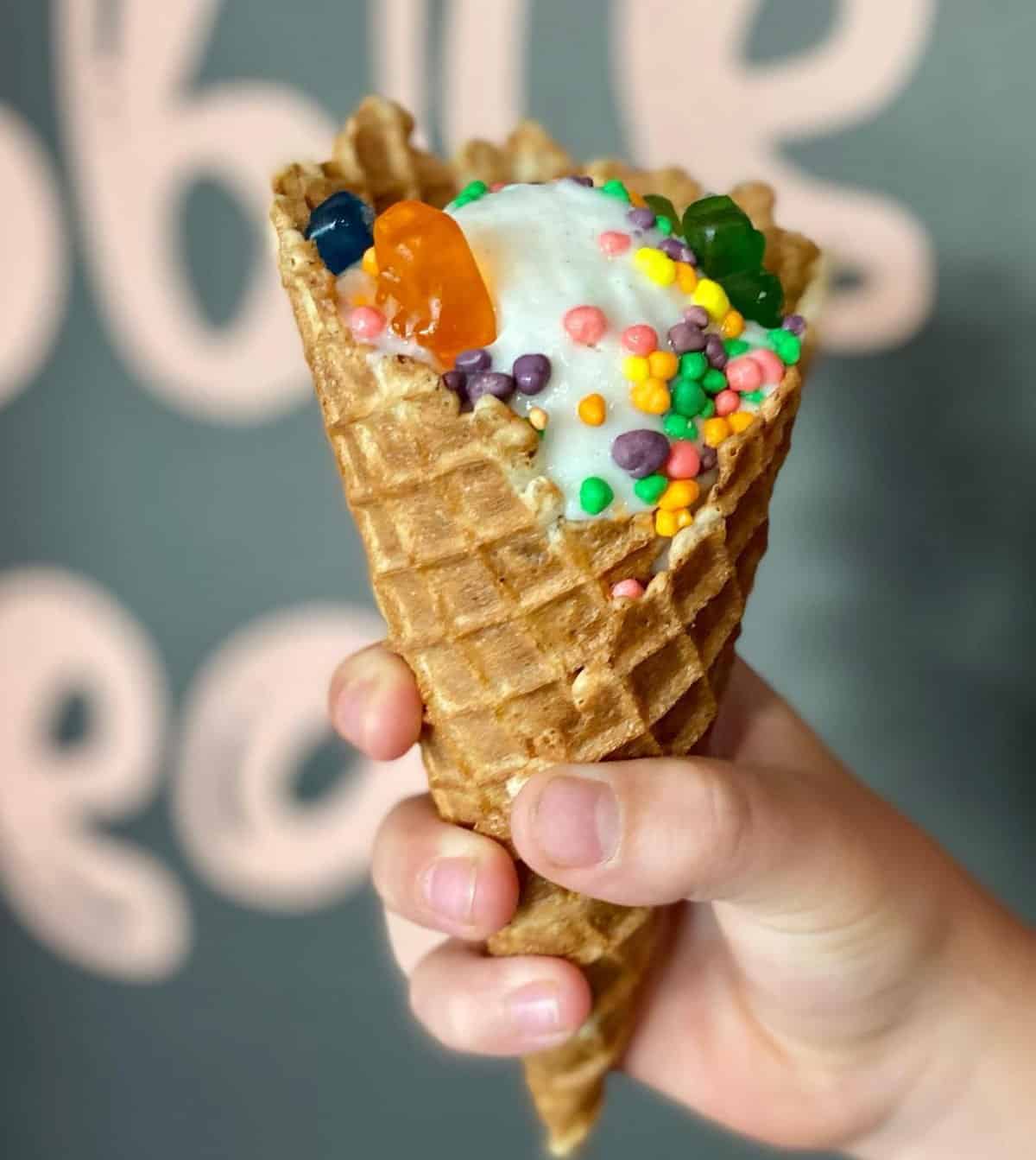 A vegan ice cream cone from The Hop Ice Cream in Asheville.