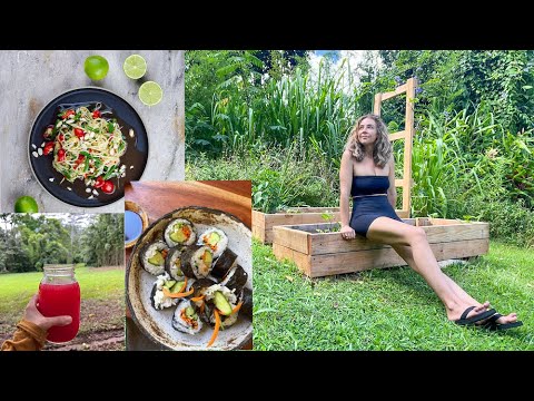 WHAT I EAT 🍚🥑 LAZY MEAL IDEAS + DAY IN MY LIFE