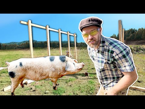 This Pig Shelter Will Make Compost NEXT to the Garden