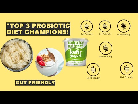 Top 3 Probiotic Diet Champions!