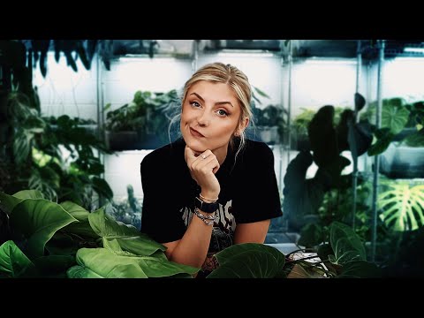 Let's Continue + Worst customers? | Repot With Me