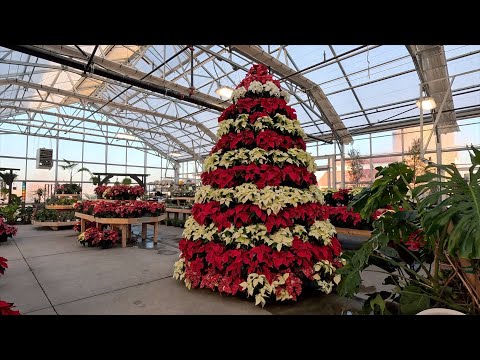 Christmas Shopping with My Mom & Monica! ❤️🎄🎅 // Garden Answer