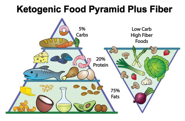 Does the Ketogenic (Keto) Diet work for Weight Loss? | Doctor explains Scientific Breakdown