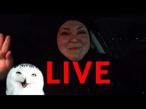 LIVE with Foodie Beauty in Canada!