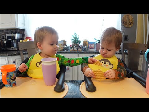 Twins try pizzelle