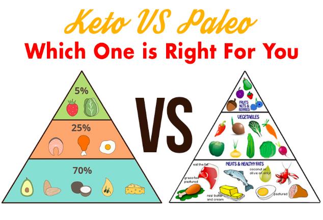 Paleo Diet Vs Keto Diet #Shorts