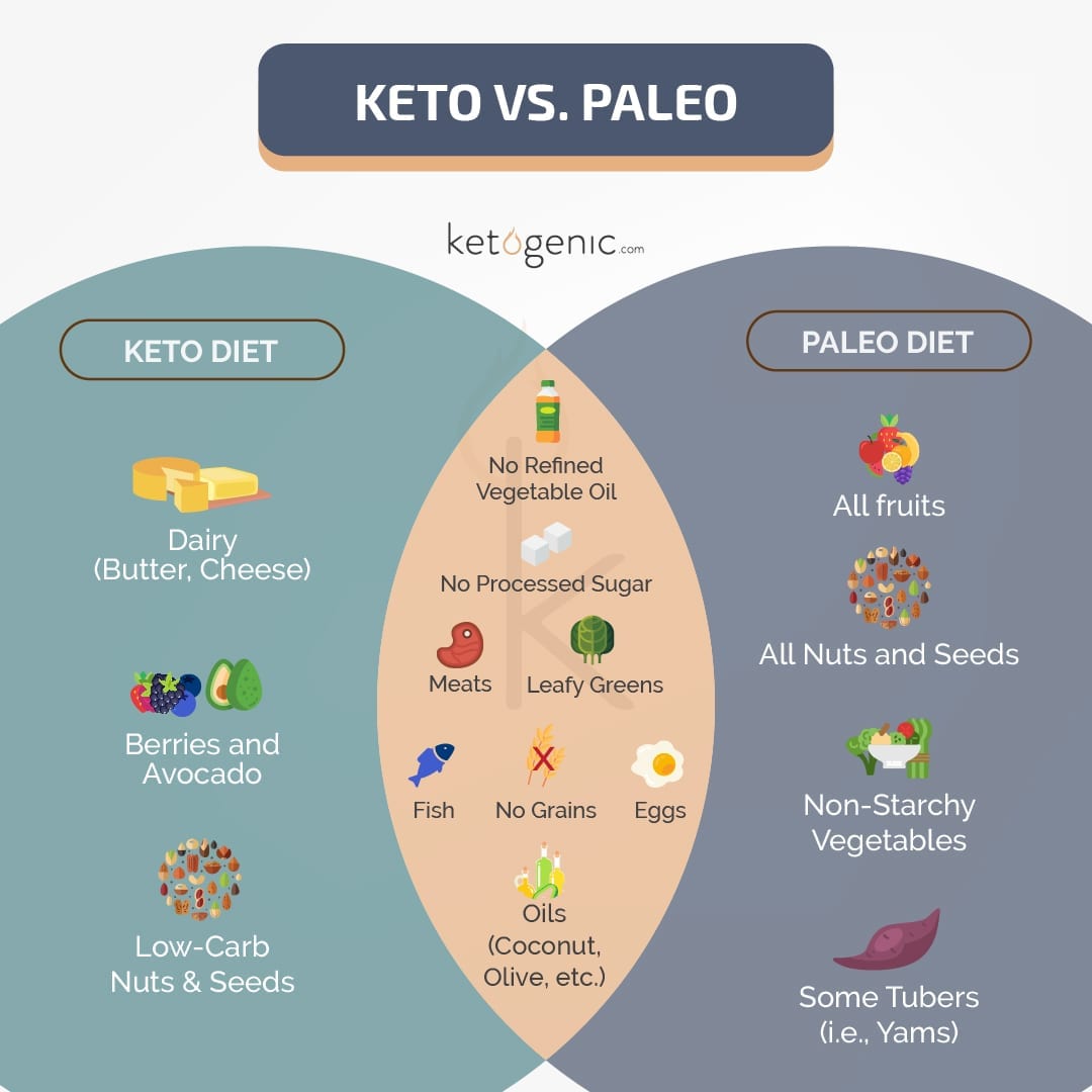 Keto vs. Paleo Diet: Which is the best diet?