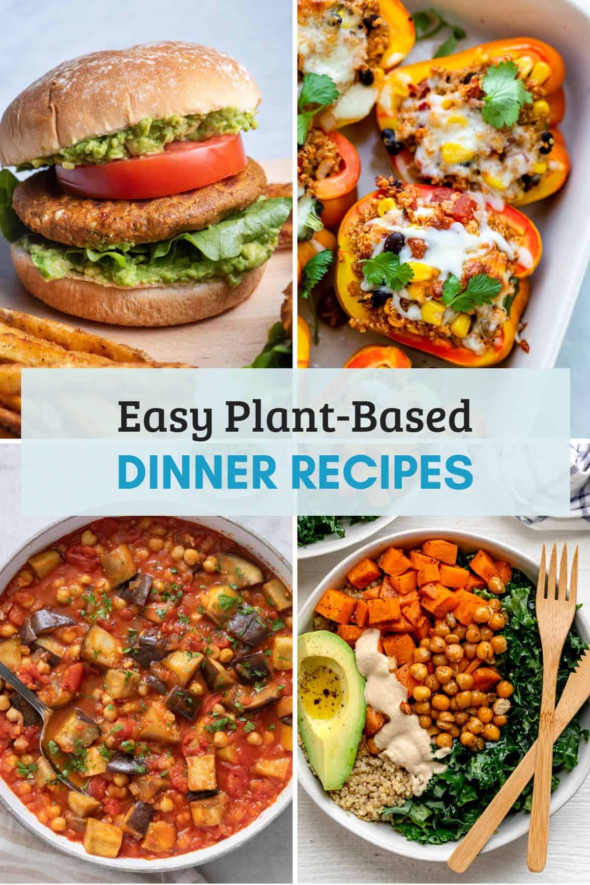 3 Easy Vegan Recipes for Beginners | Vegan Basics