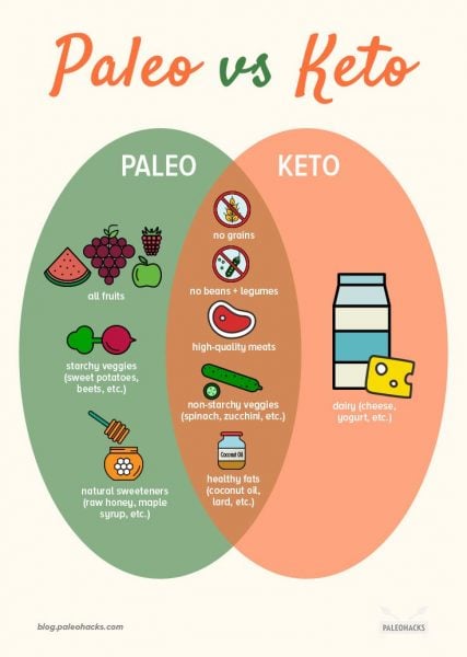 The END of Keto & Carnivore | Is PALEO Making a Comeback?