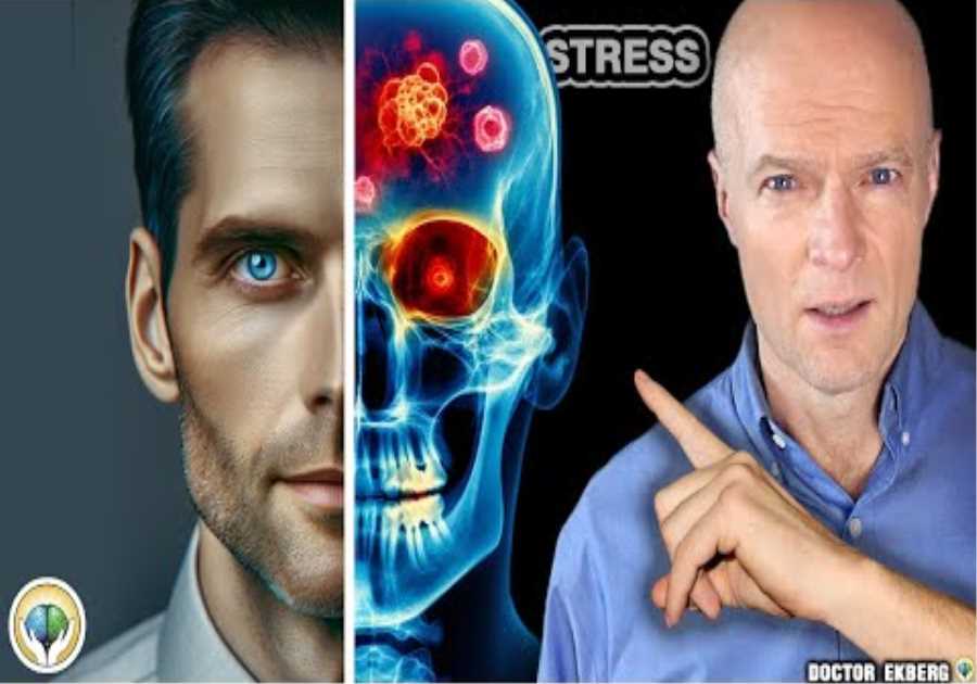 10 Signs STRESS Is DESTROYING Your Body