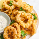 Fried calamari picture