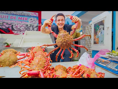 First Day in Morocco!! 🇲🇦 SPIDER CRAB + Moroccan Street Food in Casablanca!