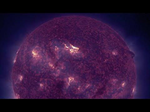 Greatest Mass Extinction, Arctic, Venus, The Sun | S0 News Feb.1.2024