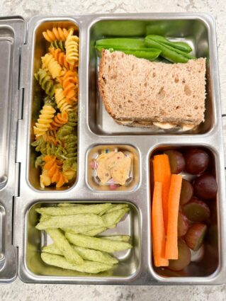 Kids lunch idea for plant-based vegan kids packed in a stainless steel lunchbox.
