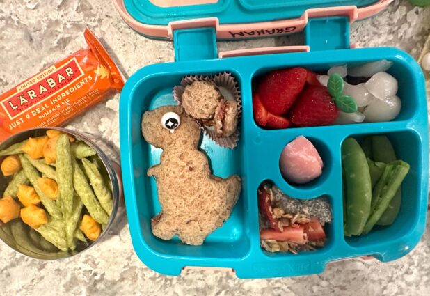Dinosaur themed kids lunchbox.