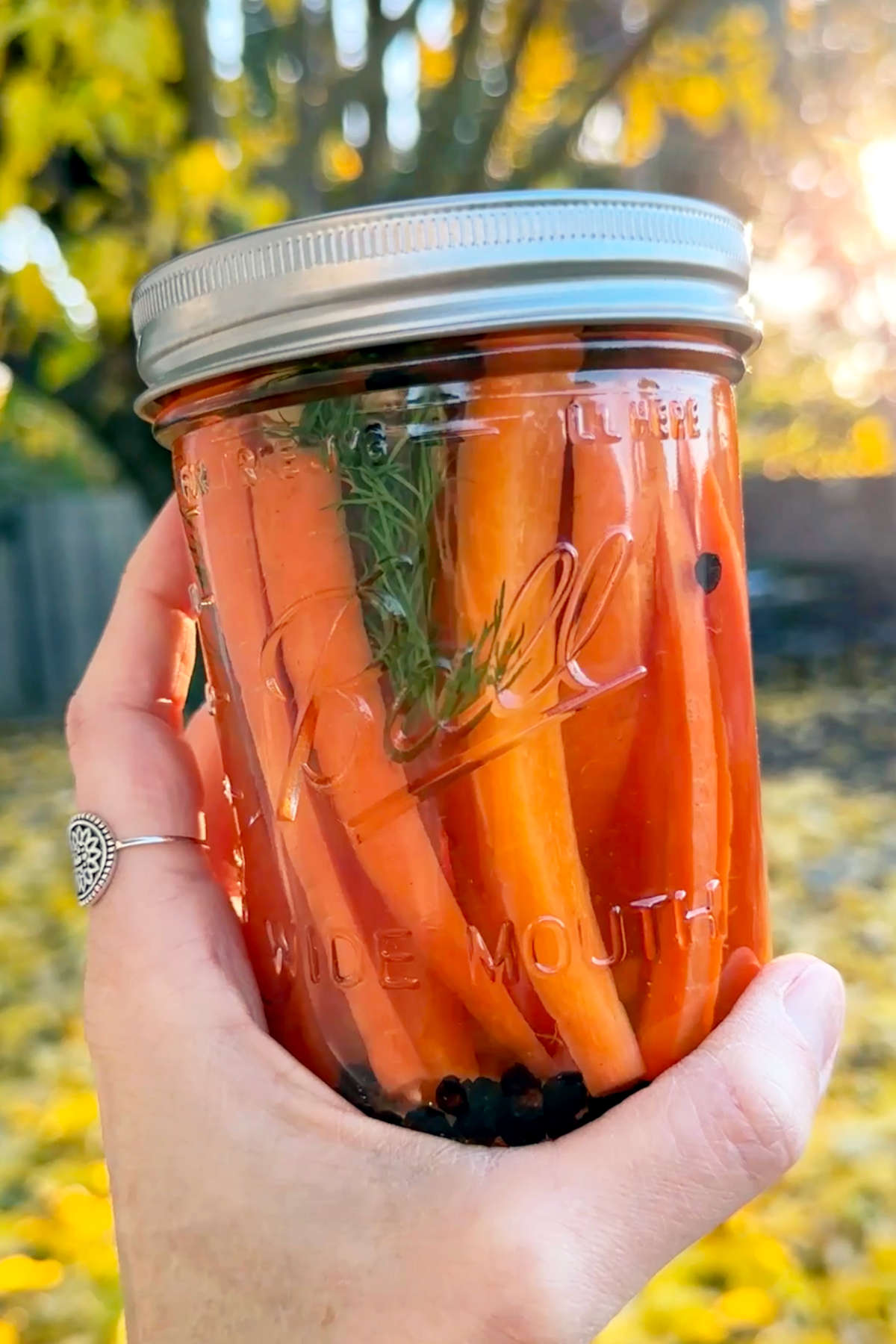 A hand holding up a jar of pickled carrots.