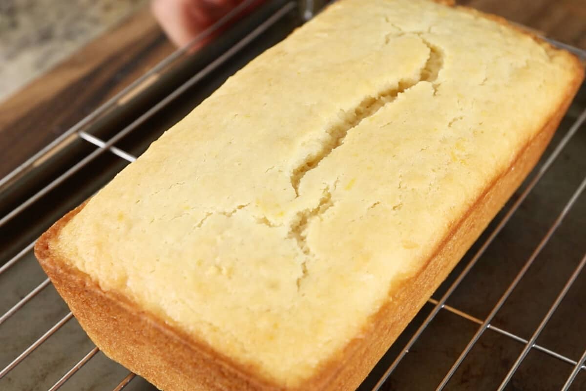 horizontal photo of a baked vegan lemon loaf on black cooling rack