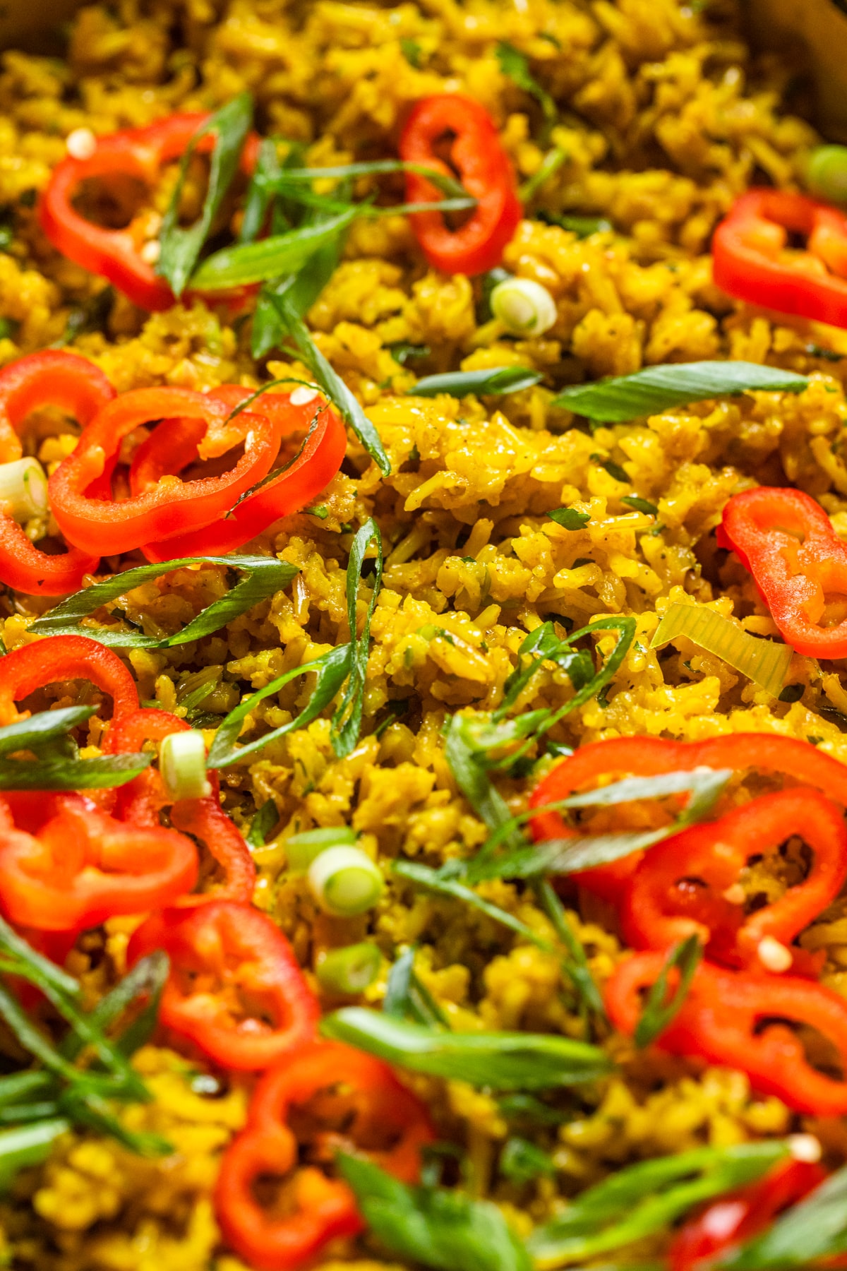 a close up of garlic turmeric rice with sliced red chilis and green onions on top.