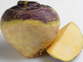 rutabaga-root-silo-lo