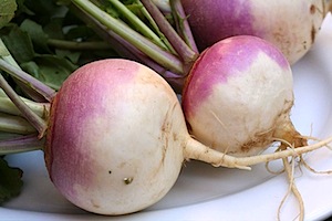 turnip